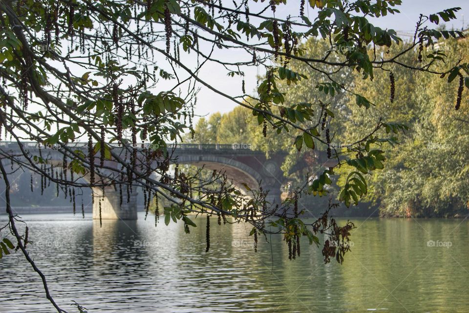 Bridge in Torino!