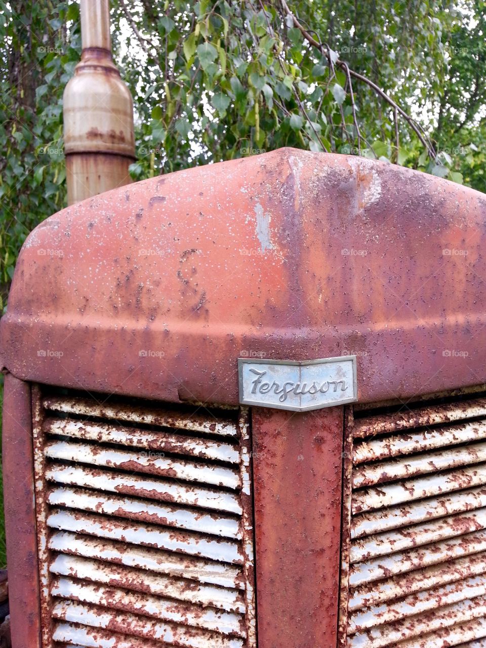 Vintage Ferguson tractor
