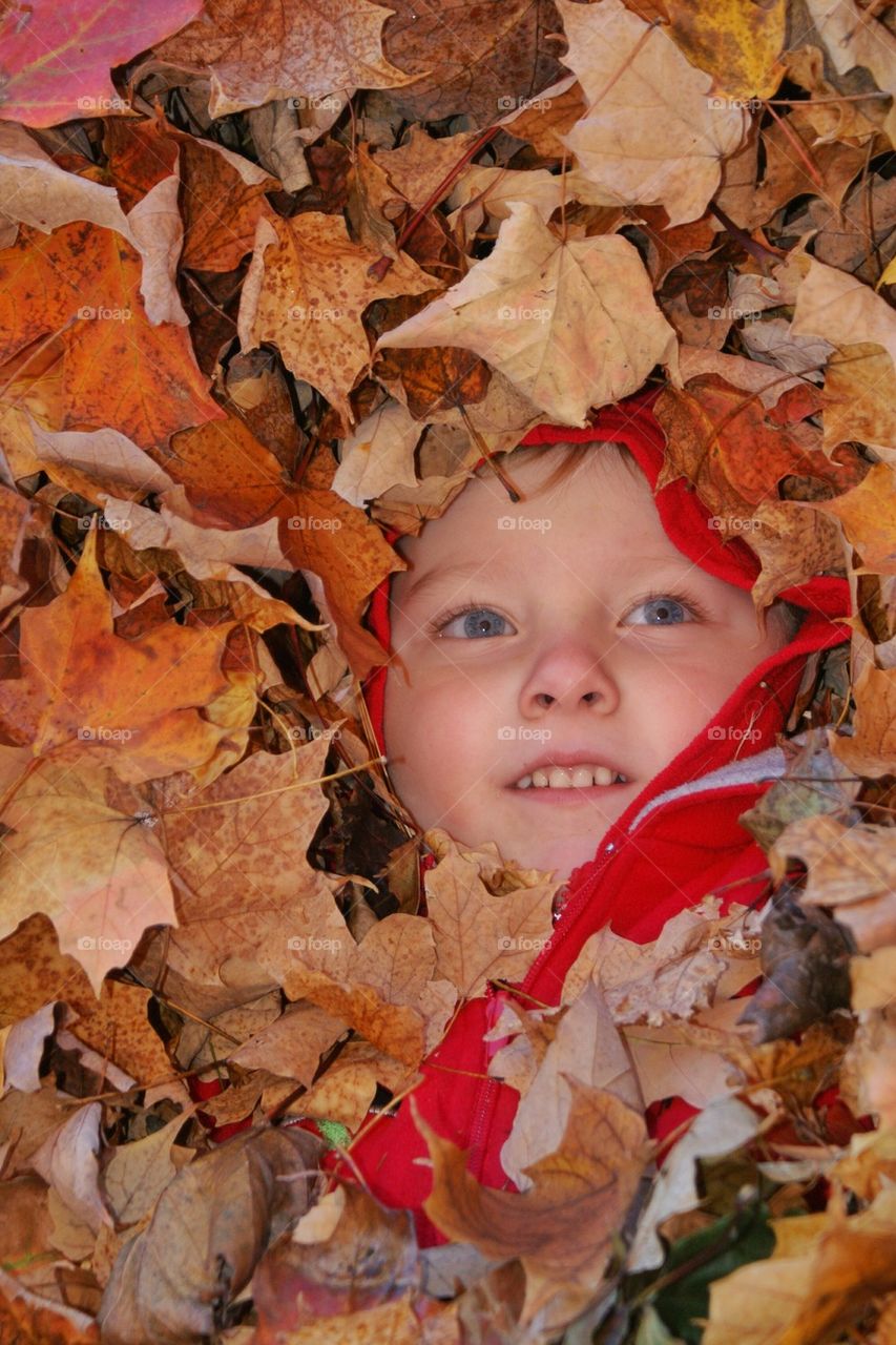 Hiding in the leaves 