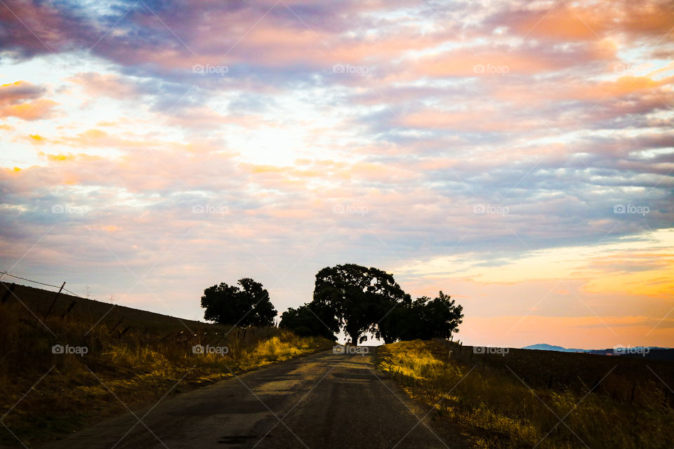 Sunsets, clouds and oak trees