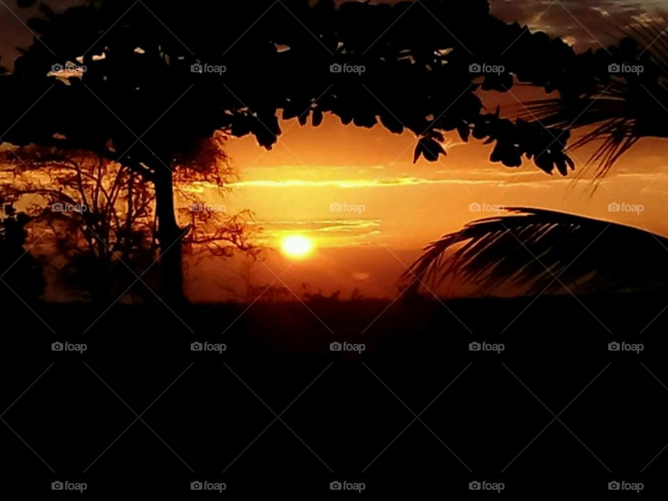 Sunset, Dawn, Backlit, Silhouette, Sun