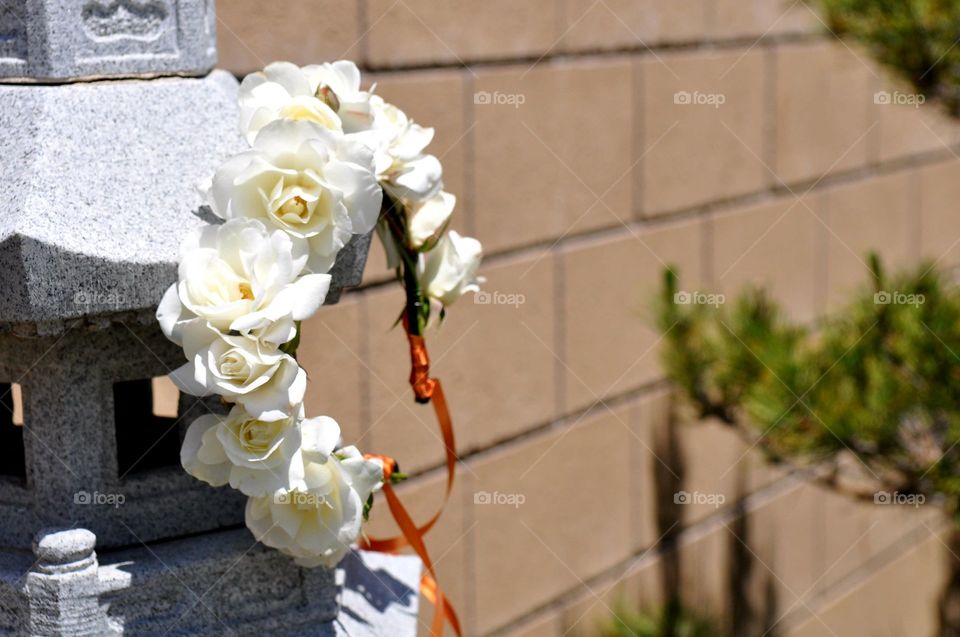 White roses flower  crown on a lantern