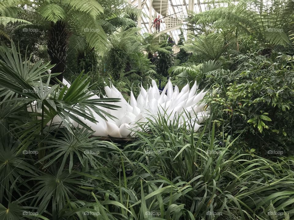 White sculpture by Chihuly, Kew, London 