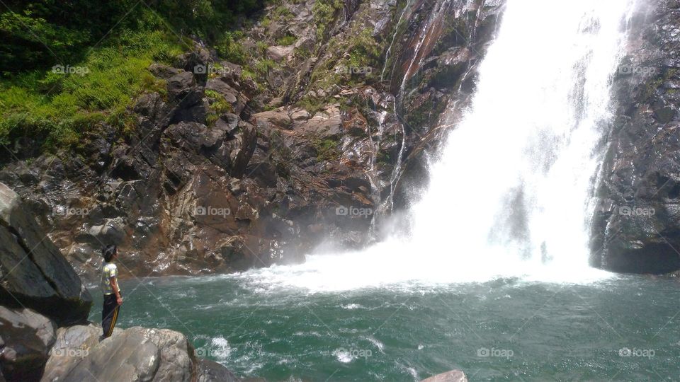 Ohkawa waterfall in Yakushima, Japan