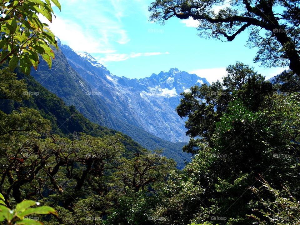 view over the mountains and forest near Milford sound, new Zealand