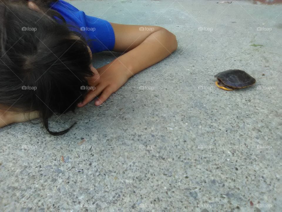 hello baby turtle,come out and play pop your head out from your hard shell don't be afraid!