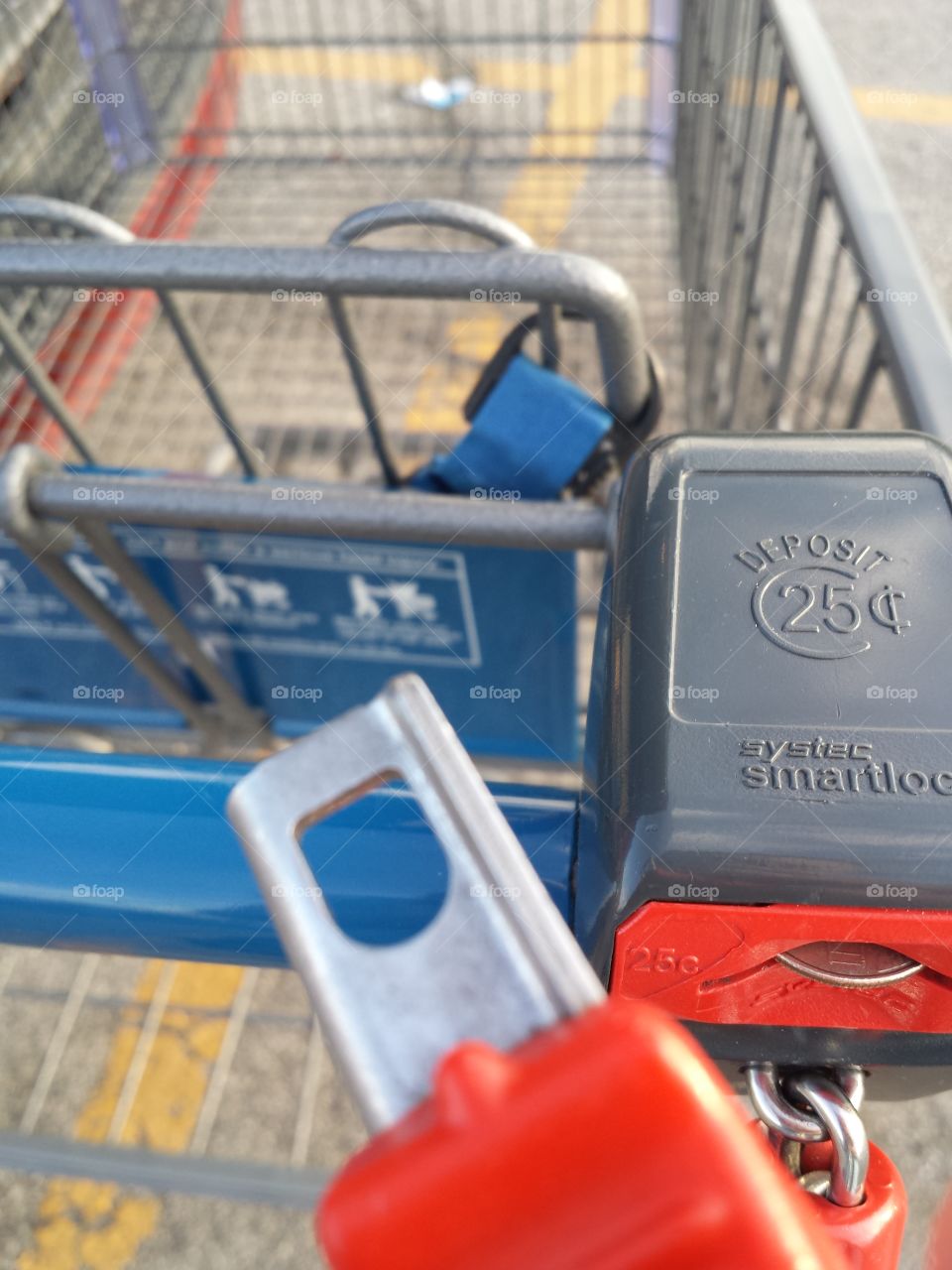 Aldi's Shopping Carts