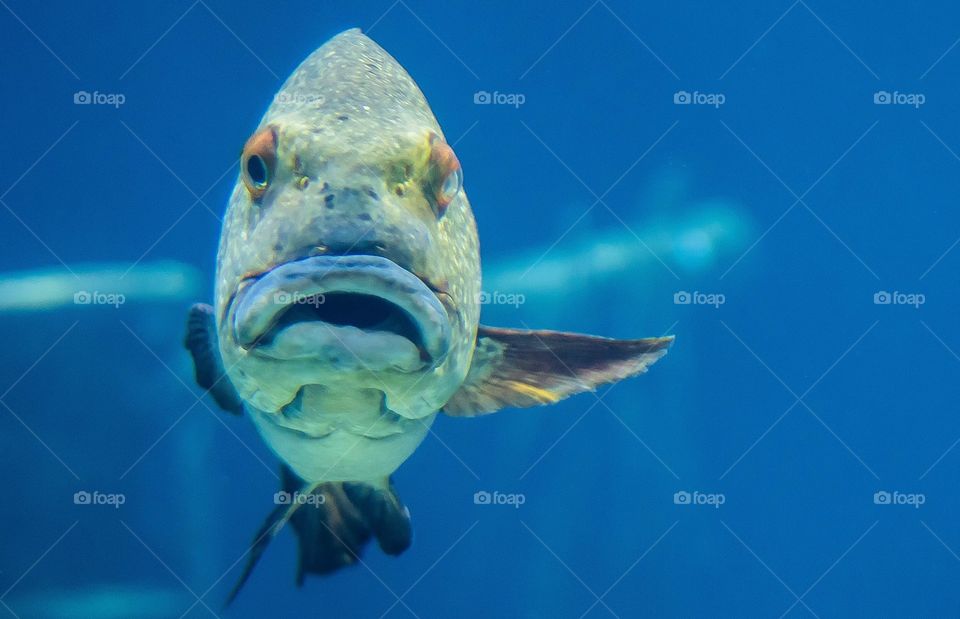 To the right please fish 