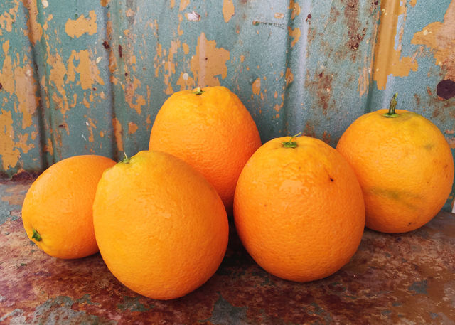 Spring oranges