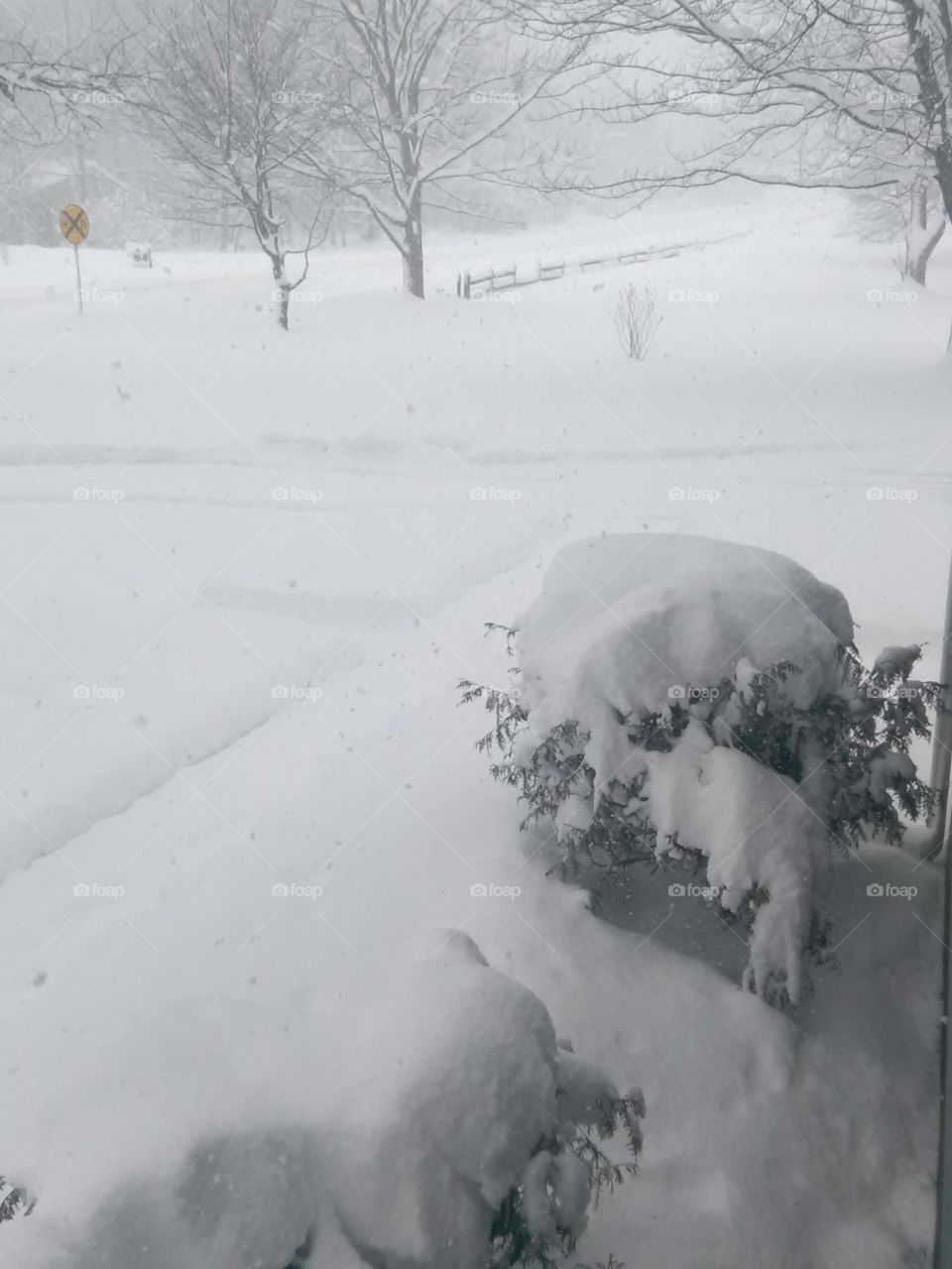 Lake Effect Snow