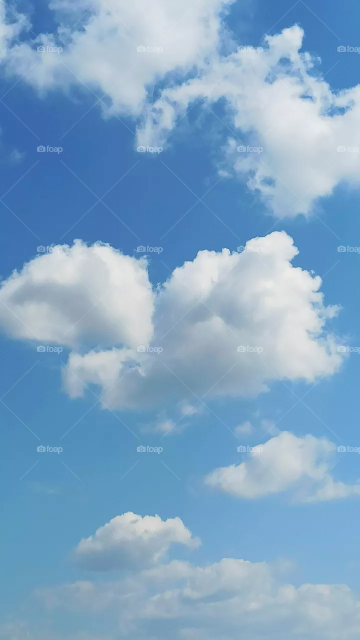 Love is in air.