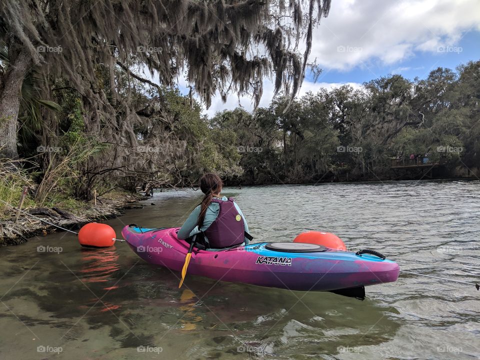 looking for manatees