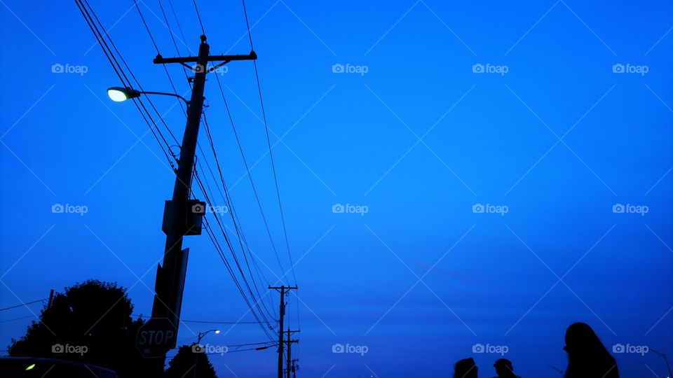 Powerlines silhouetted in the blue sky