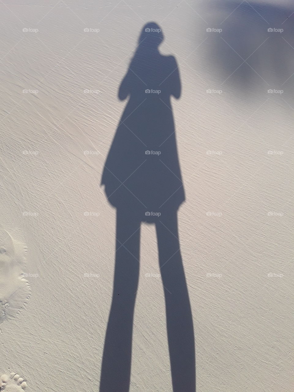 amazing world of shadow you love to play with your shadow evening wonderful world of the shadow you like to play with your shadow the evening sun gives you such an opportunity