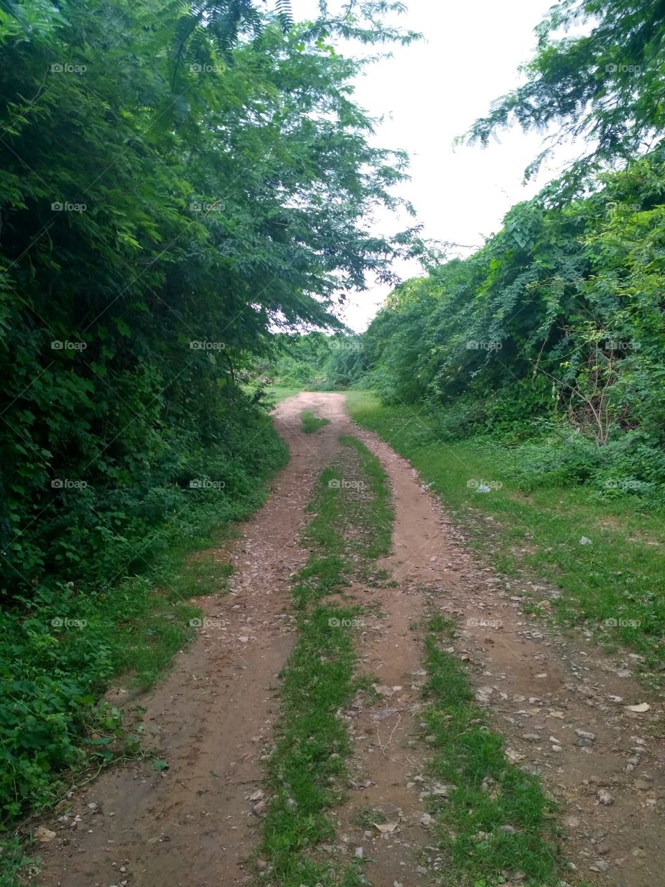 farm road