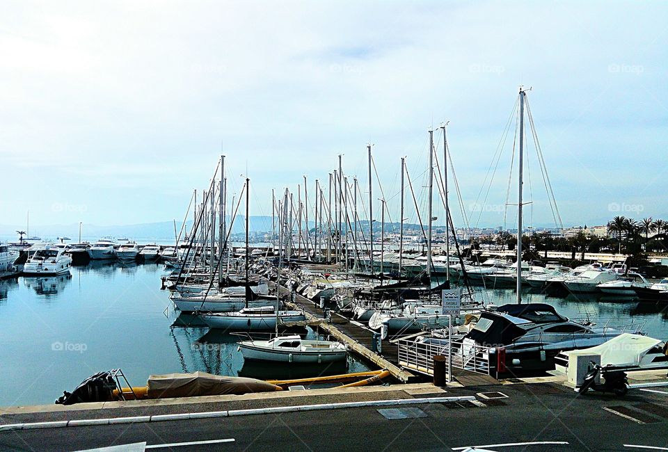 Cannes' marina