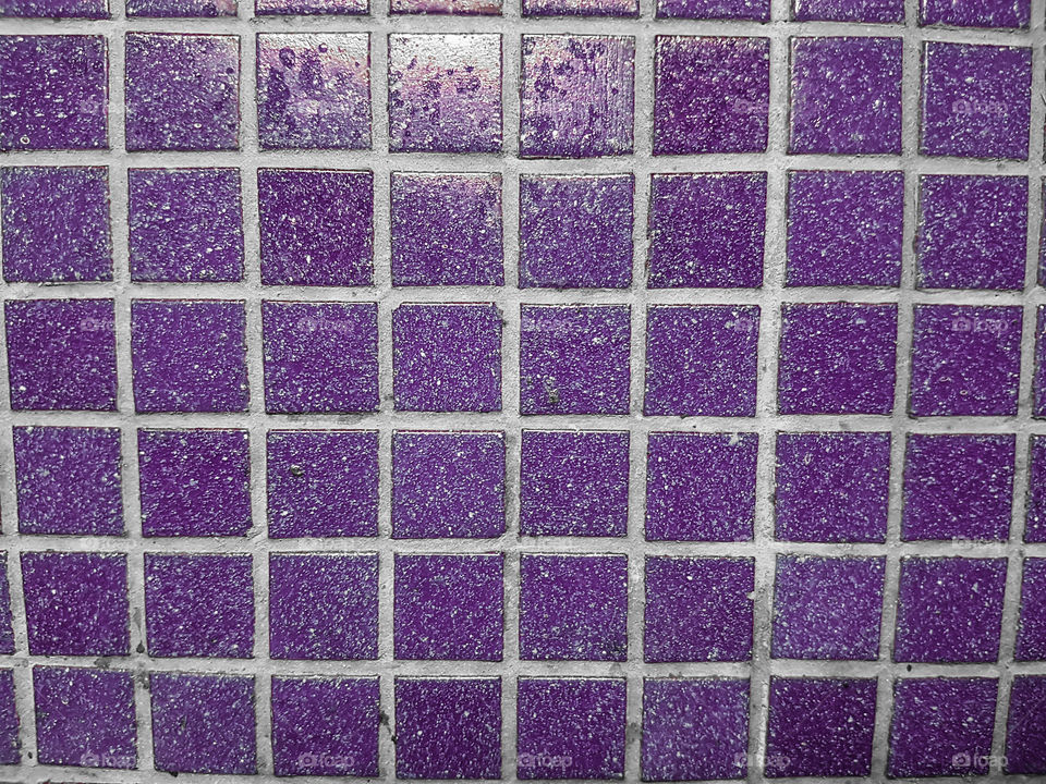 purple mosaic