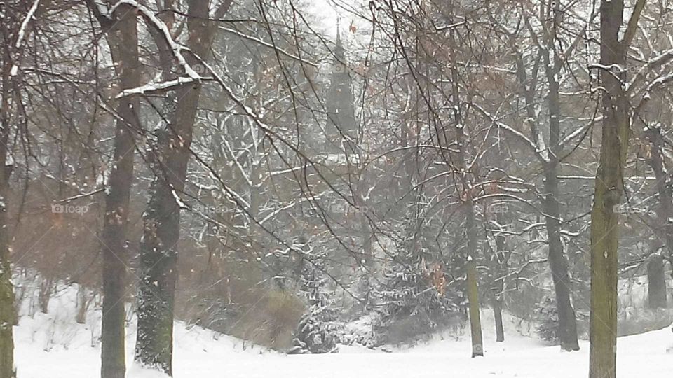Winter in Viktoriapark ( Kreuzberg)