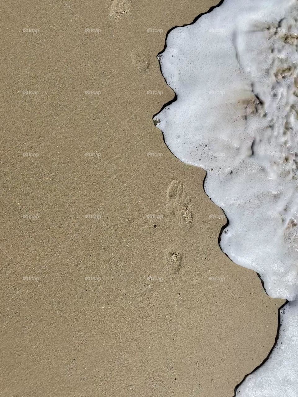 Trace on the sand