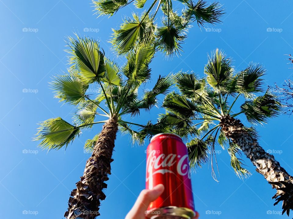 Holding a coke can outdoors by the tropical palm trees and blue sky 