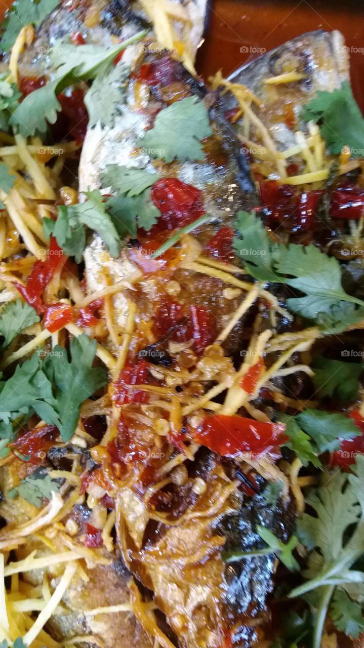 Fish with chilly sauce