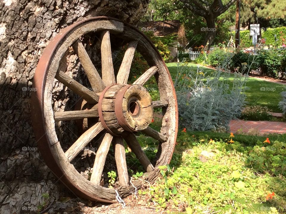 Antique wagon wheel. Antique wood wagon wheel leaning against tree