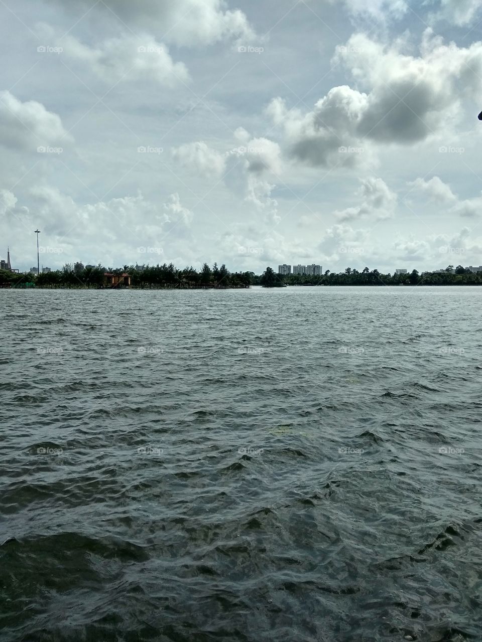 Rainy Days for nature