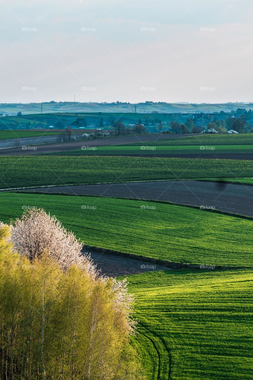 Meadows and farmland during the spring season.