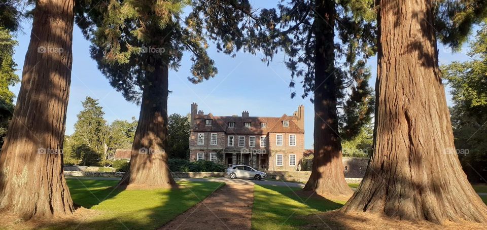 Manor house and huge ancient sequoias