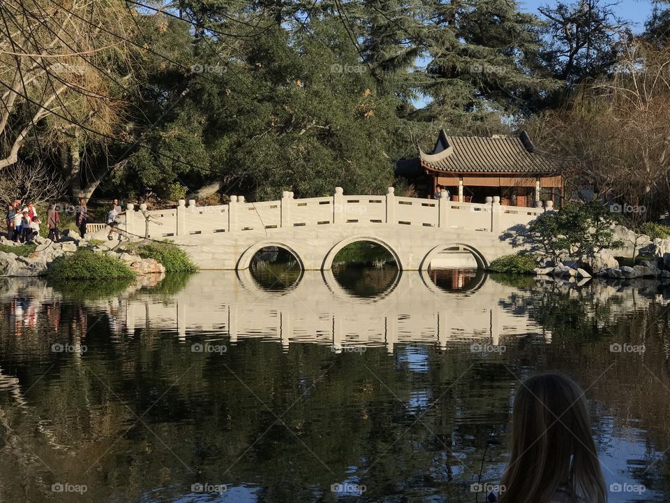 Peaceful Bridge 