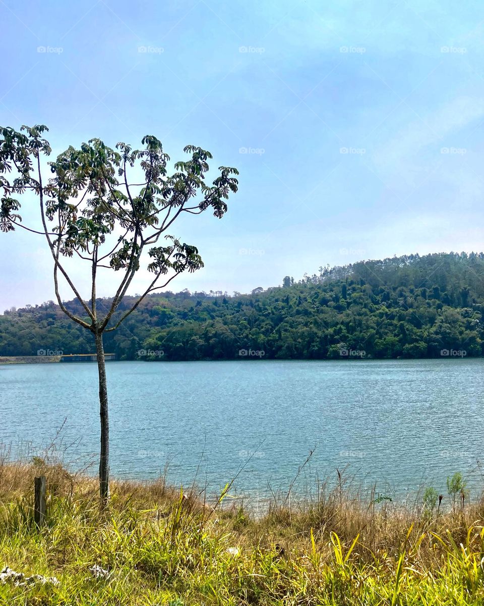 🇺🇸 The Mairiporã Dam (Brazil), on such a hot day: don't you feel like swimming? / 🇧🇷 A Represa de Mairiporã, nesse dia tão quente: não dá vontade de nadar?