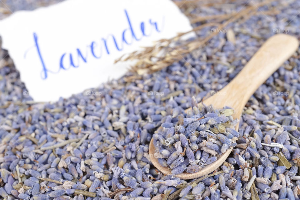 Dried lavender flowers. A spoon full of lavender seeds. Shallow depth of field.