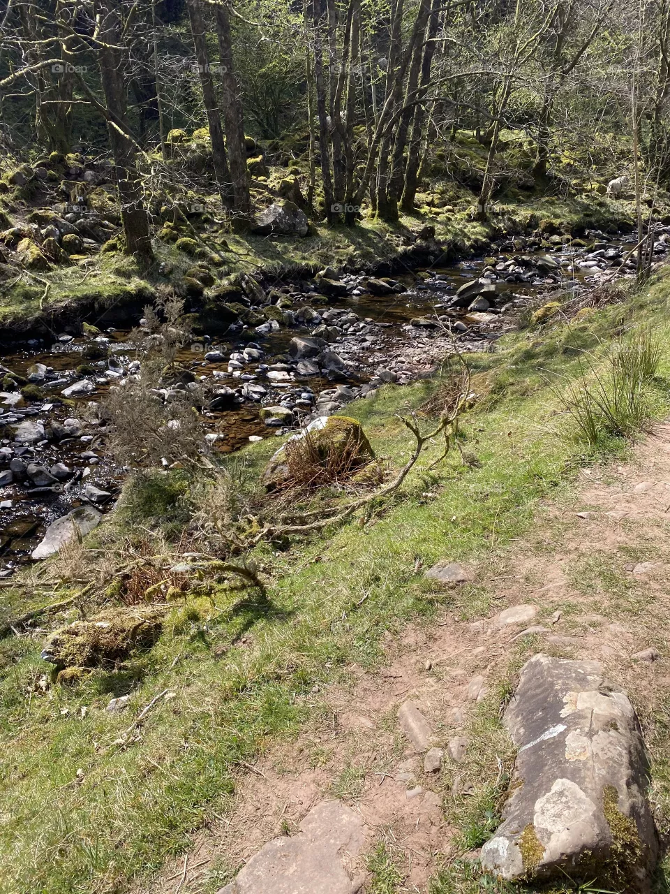 River bed.