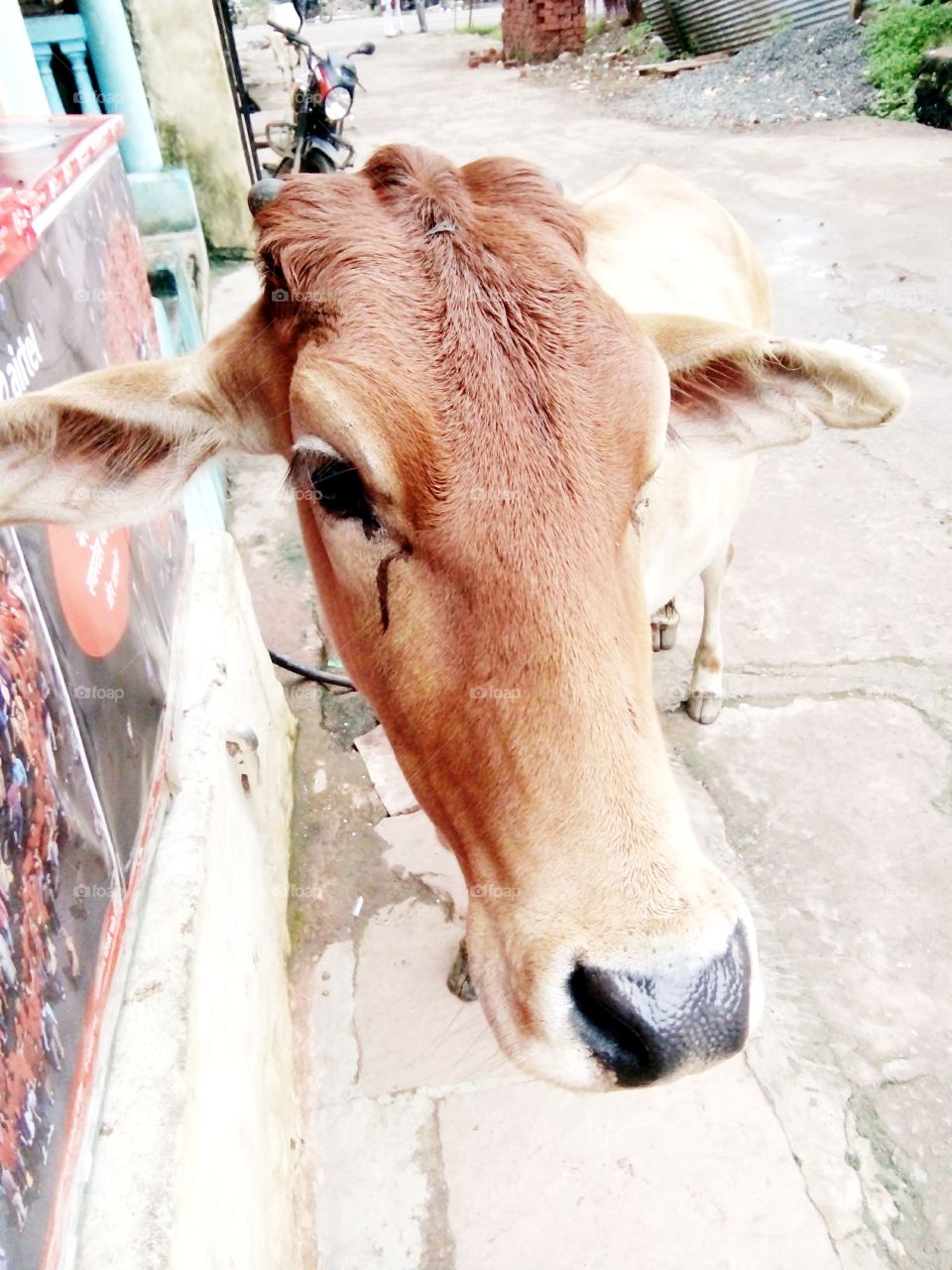 real,natural photo,A great photo,a photo for everyone,a memorable photo,a no. photo,a photo to cherish,a beautiful photo,a great photo for the best people,an evergreen photo,a photo to remember for years,the best result of great photography