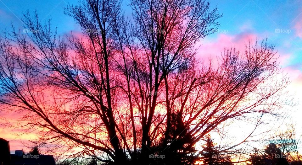 sunrise out my backdoor