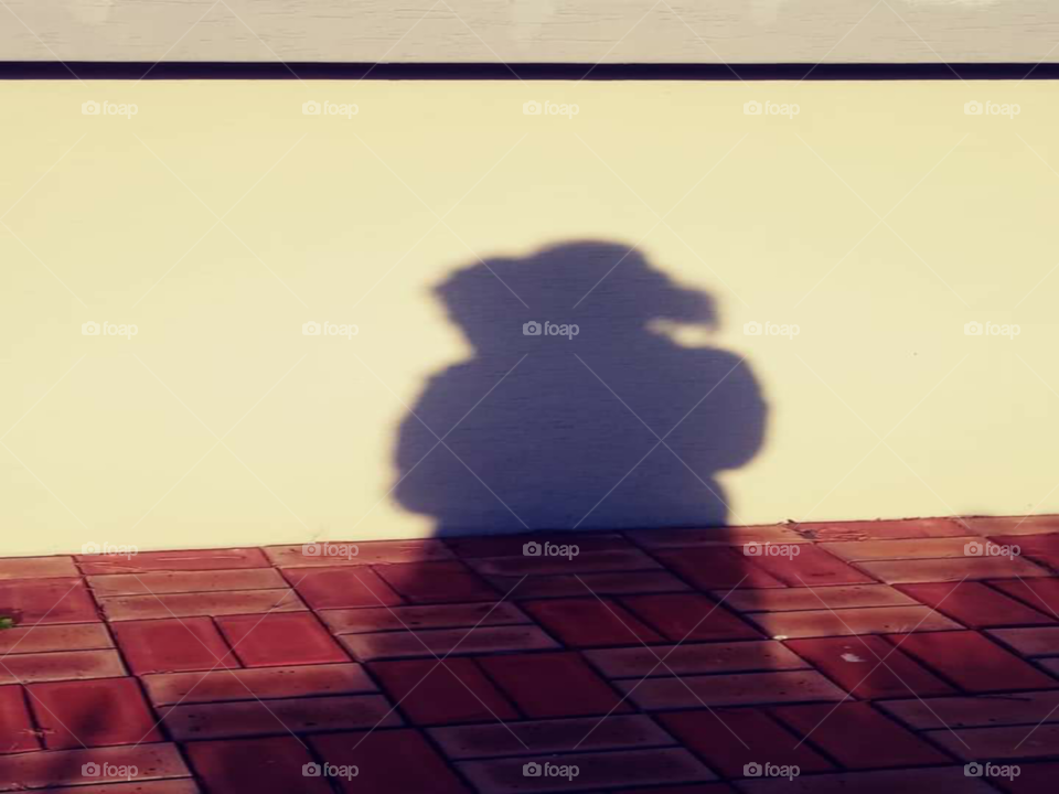 a shadow of a mother  and a child.  the mother is hugging her child from the back.