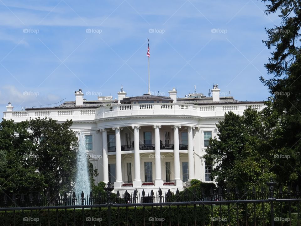 The Whitehouse