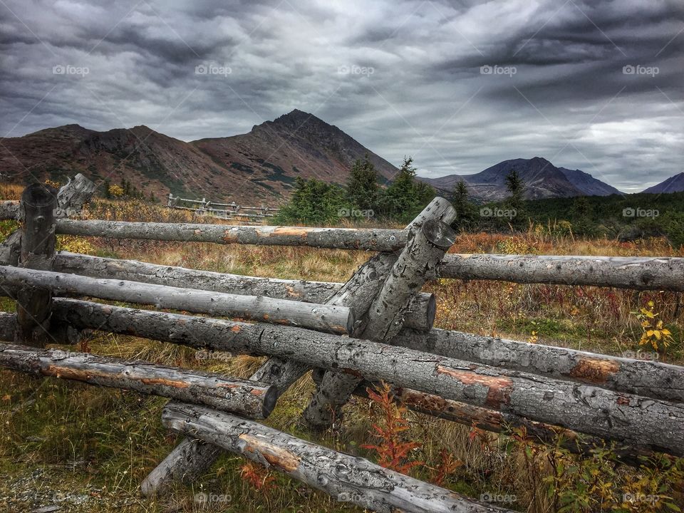 Rustic fence
