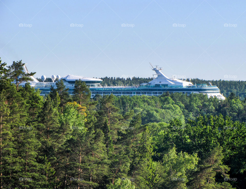 ship in the forest? 😎