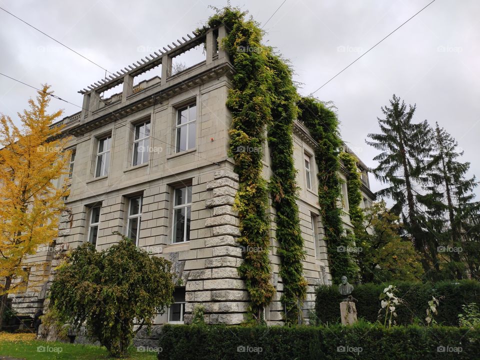 Old stone house with vegetation