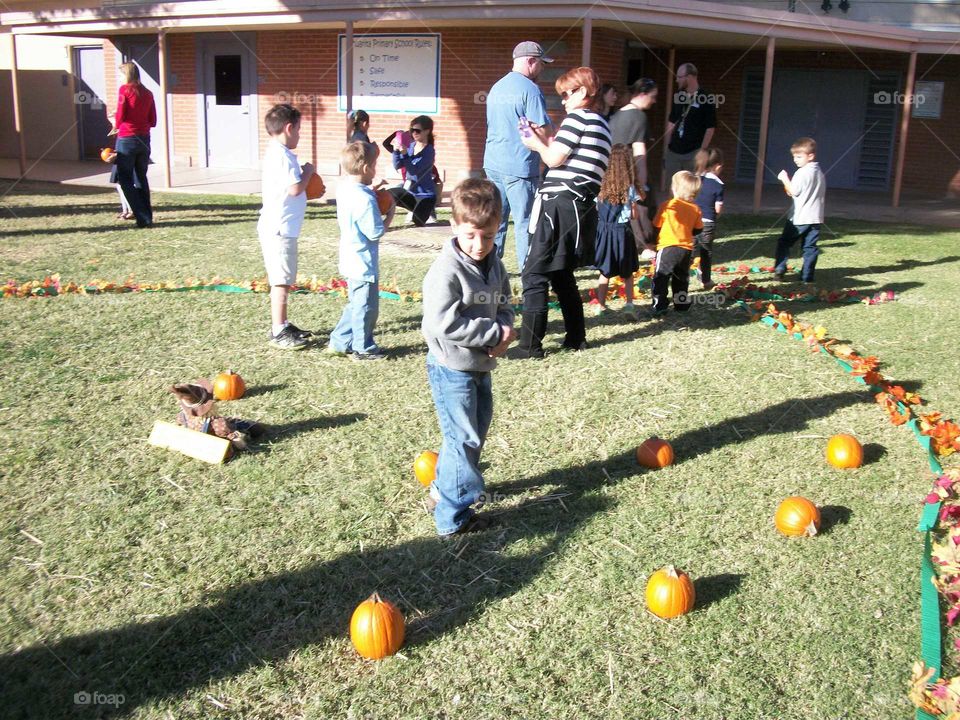 Pumpkin patch