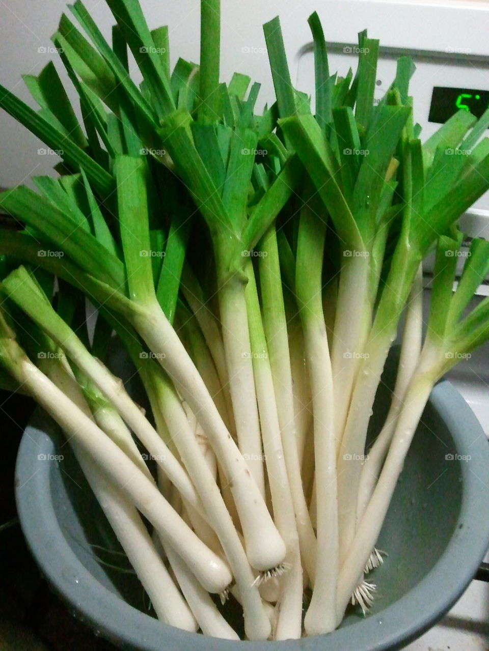 leeks