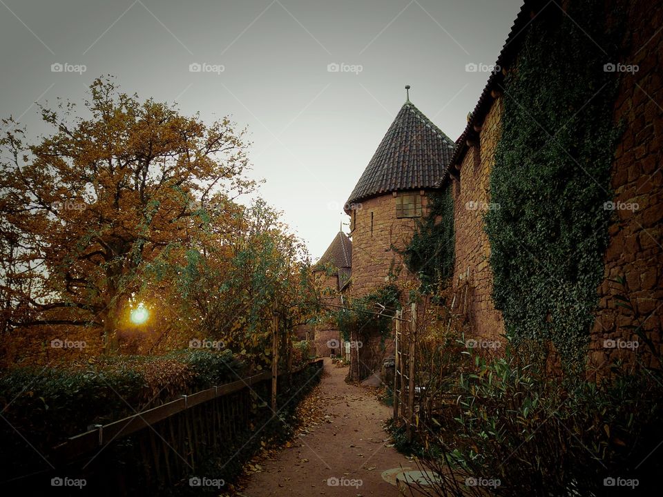 Ancestral sunset (château du Haut-Koenigsbourg, Alsace, France)