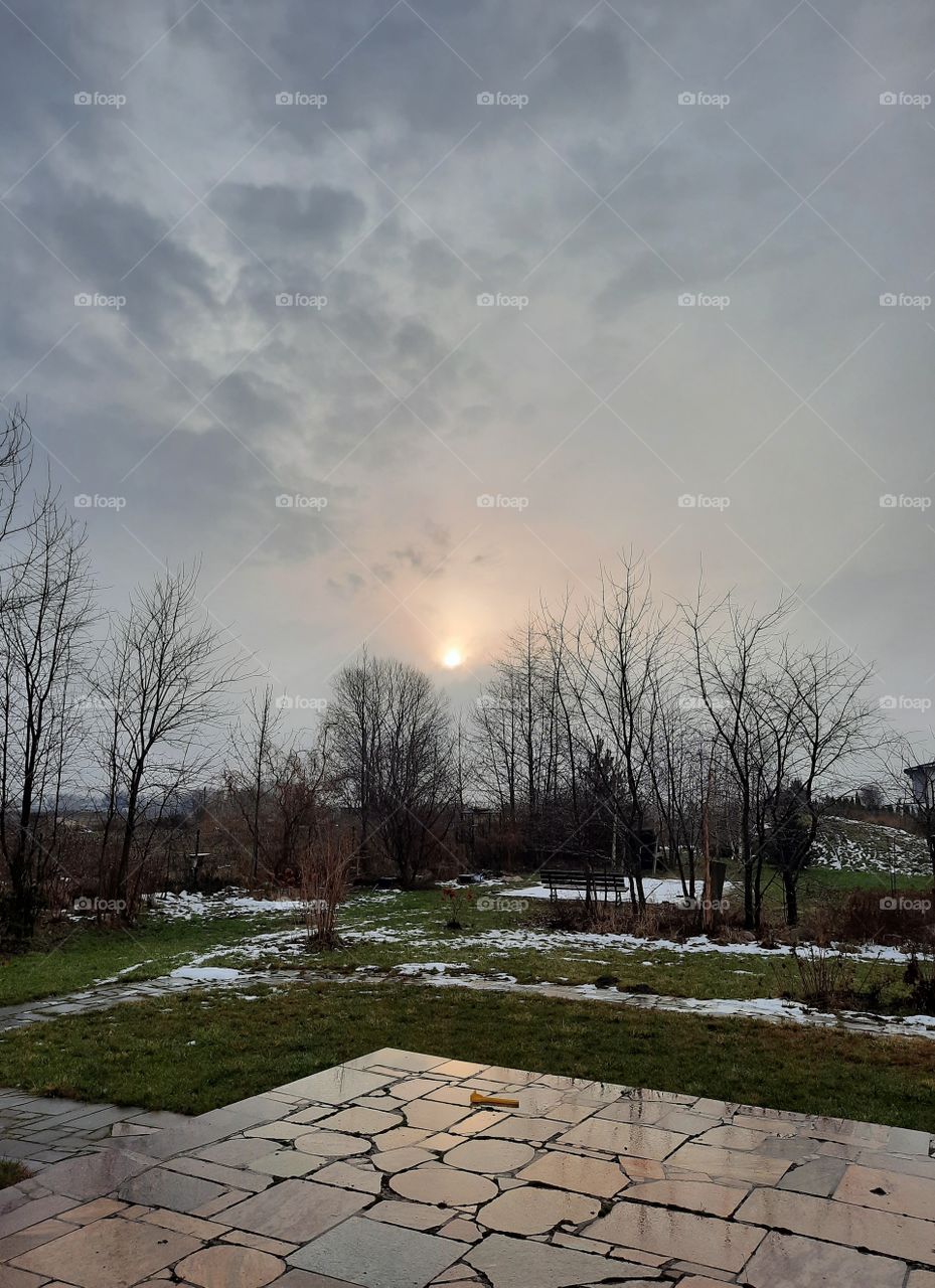 winter garden  - glimpse of sun from behind gray clouds