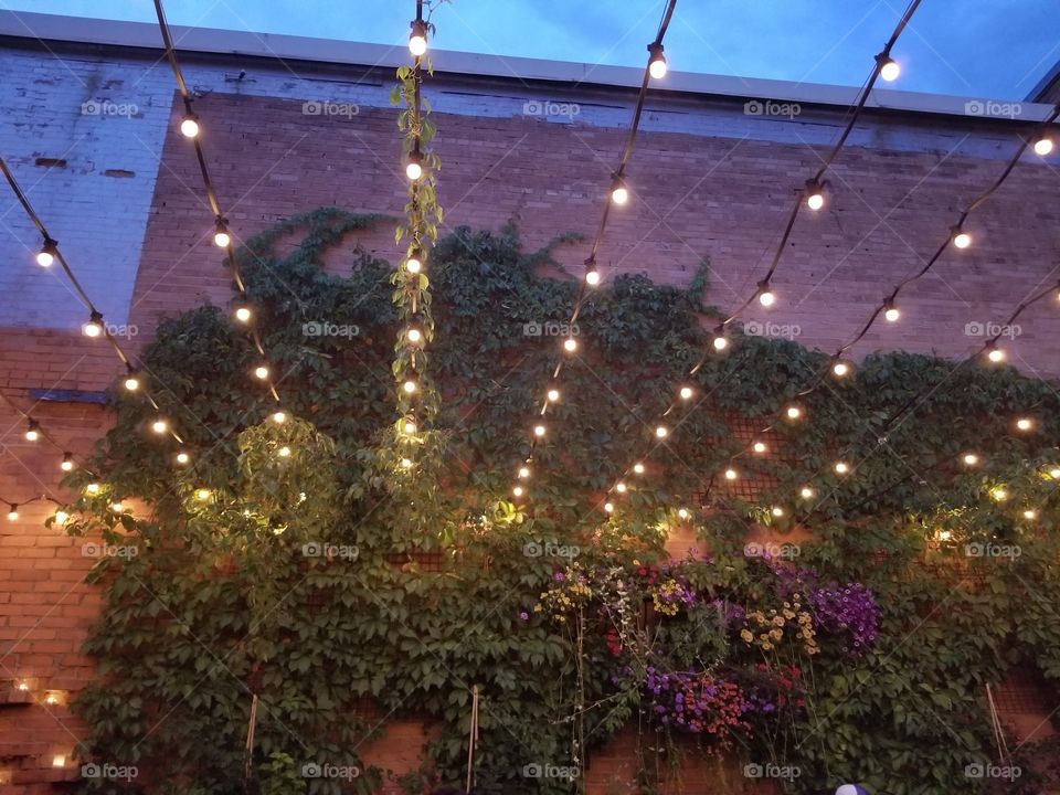 Magical settings on summer nights