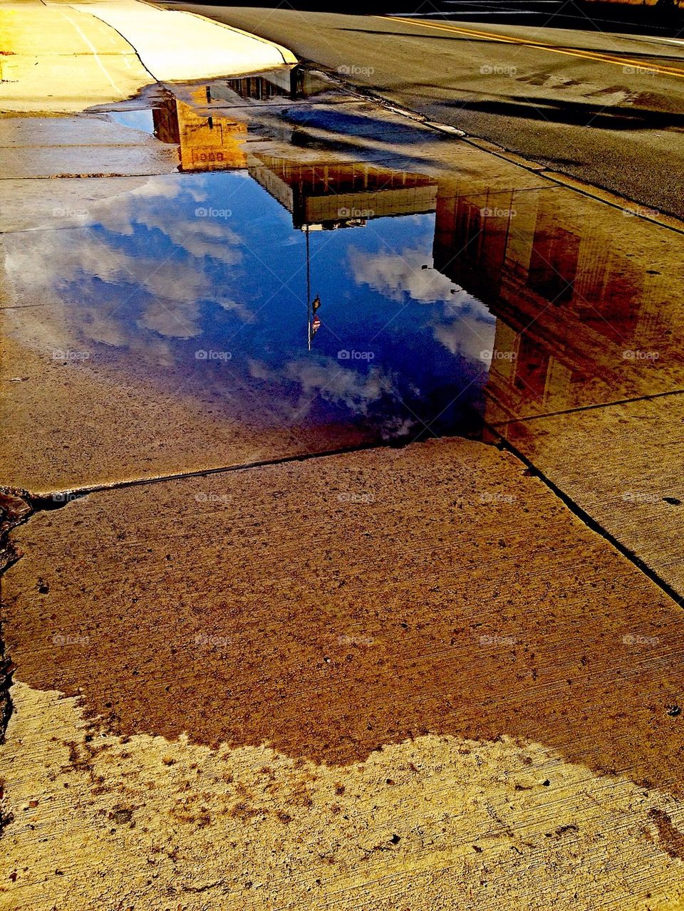 Puddle reflection 