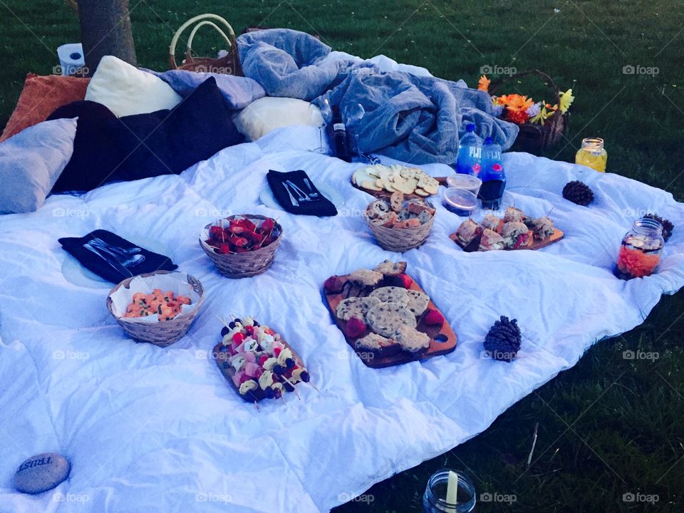 Picnic for two in a park 