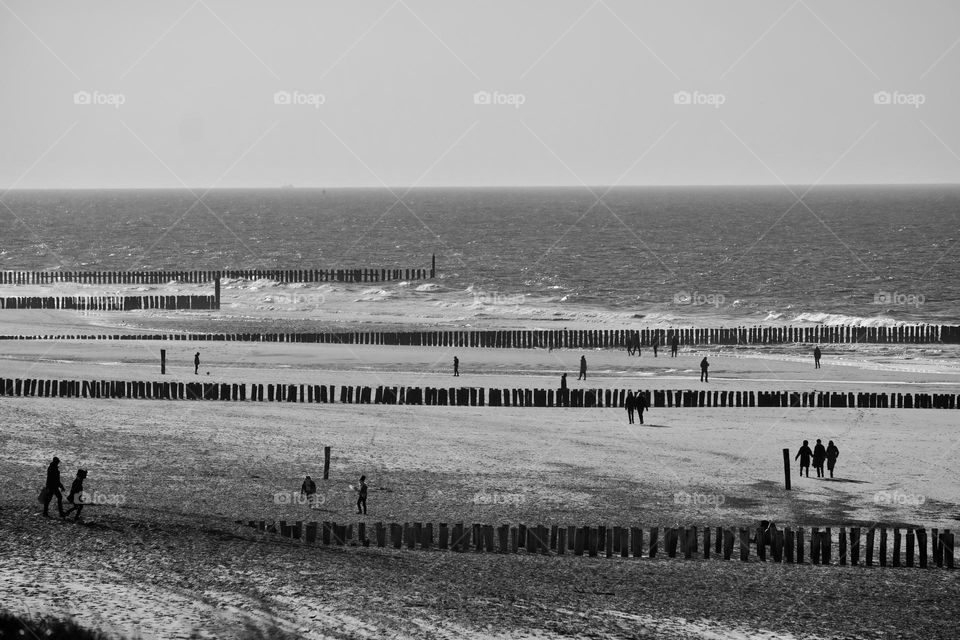 High angle view in black and white of breakwater poles on beach by sea. 