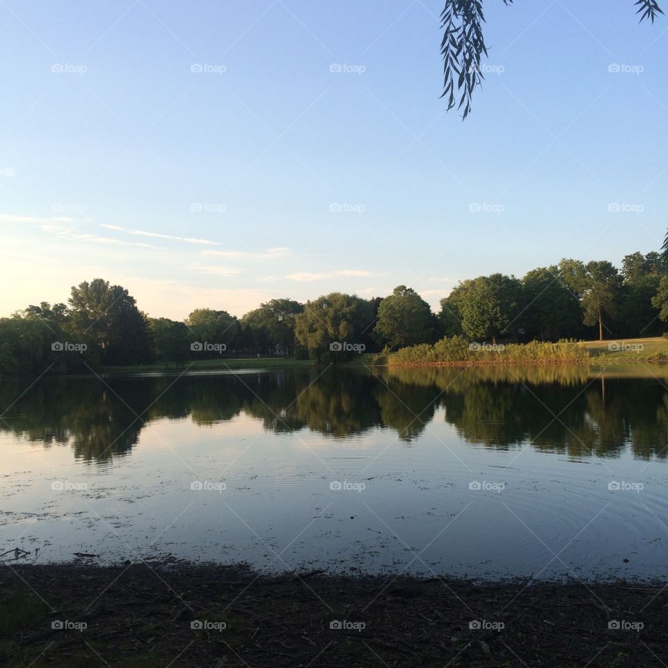 Reflection pond