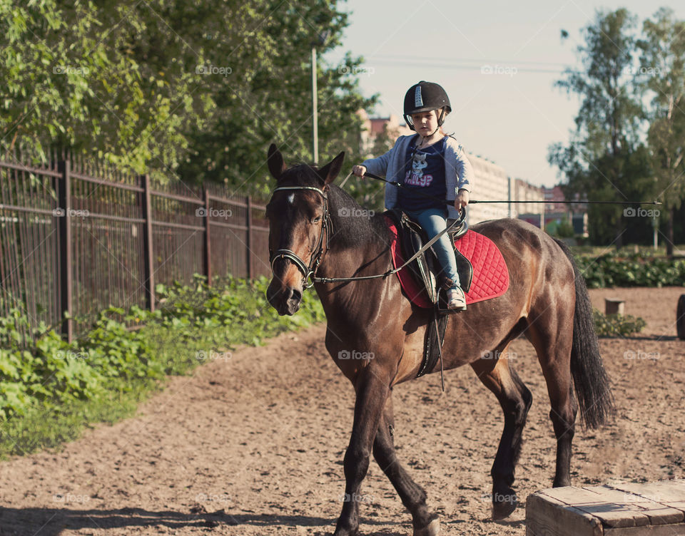 riding lessons